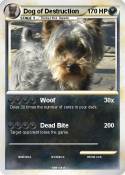Dog of Destruct