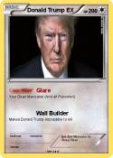 Donald Trump EX