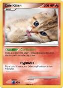Cute Kitten