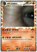 wild dragon