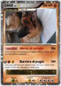 CANE