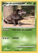 berger des pyré