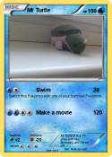 Mr Turtle