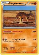 Kangourou roux