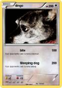 dingo