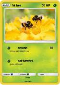 fat bee