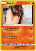 Little fire