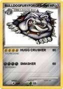 BULLDOGFURYFORC