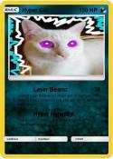 Hyper Cat