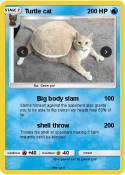 Turtle cat