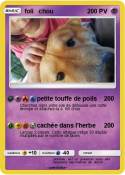 foli chou