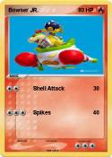 Bowser JR.