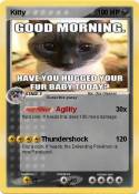 Kitty