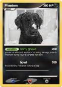 Phantom
