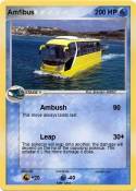 Amfibus