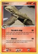 Lizard