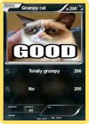 Grumpy cat