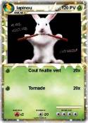 lapinou