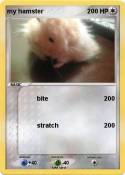 my hamster