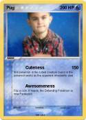 Pug
