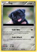 Pug