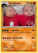 Les jumeaux