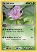 fleur de lotus