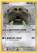 walrus