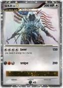u.s.a