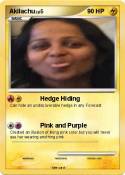 Akilachu