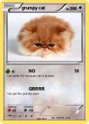grumpy cat