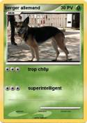 berger allemand