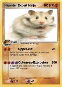 Hamster Expert