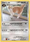 chat Z