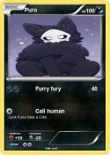 Puro