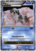 Dog