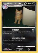 Furball