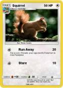 Squirrel