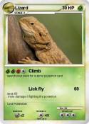 Lizard
