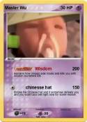 Master Wu