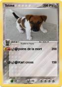 Totoss
