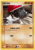 cute dog