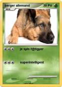 berger allemand