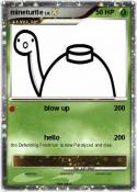 mineturtle