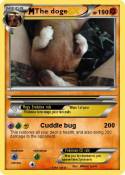 The doge
