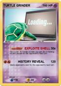 TURTLE GRINDER
