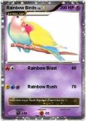 Rainbow Birds