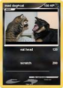 mad dog+cat