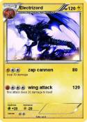 Electrizord