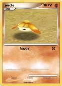 seedle